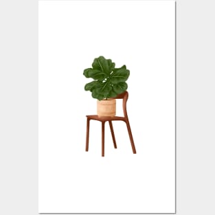 Trendy Plant Art, Botanical illustration, Fiddle Leaf Fig 60 Posters and Art